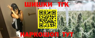 СК Обь