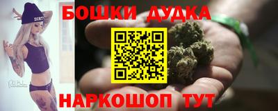 СК Обь