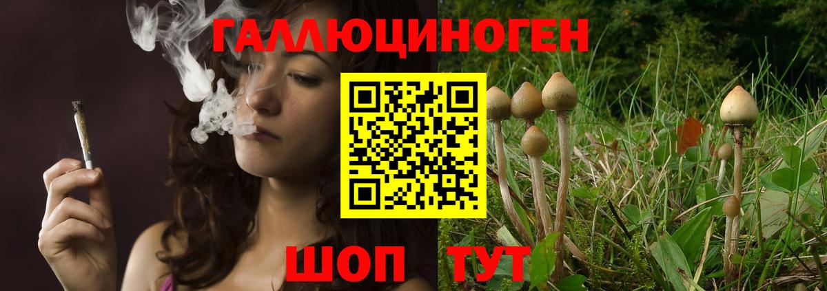 Галлюциногенные грибы Magic Shrooms  Вход с VPN  Строитель 