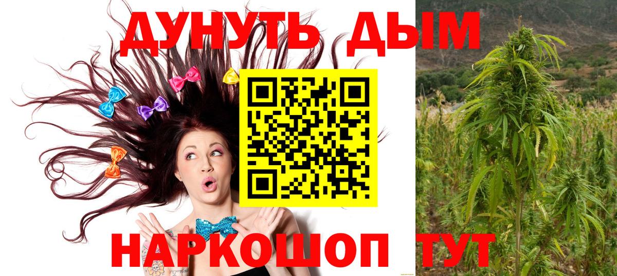 Шишки марихуана ГИДРОПОН Строитель